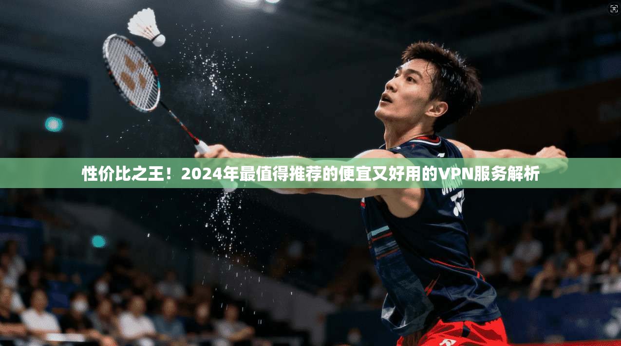 性价比之王!2024年最值得推荐的便宜又好用的VPN服务解析
