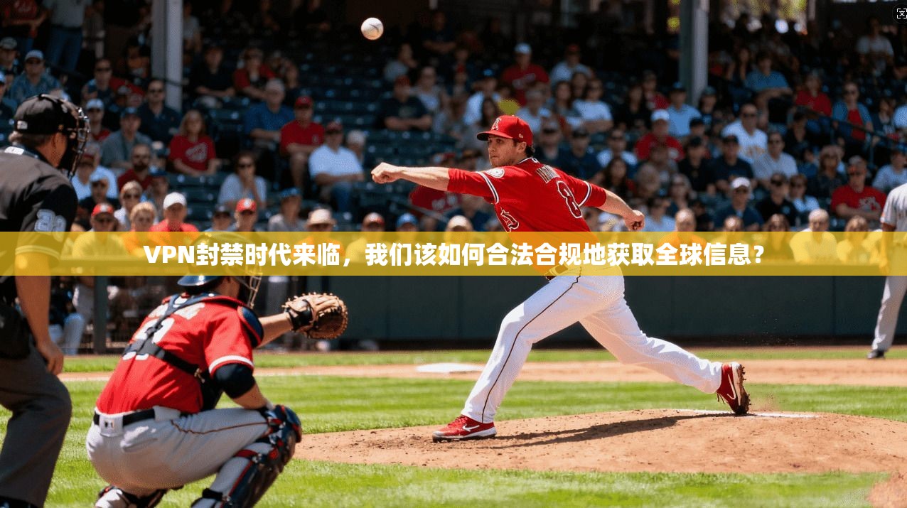 VPN封禁时代来临,我们该如何合法合规地获取全球信息?