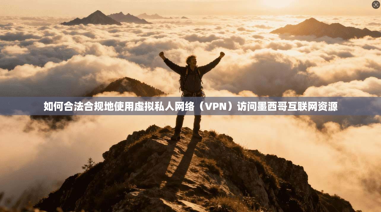 如何合法合规地使用虚拟私人网络(VPN)访问墨西哥互联网资源