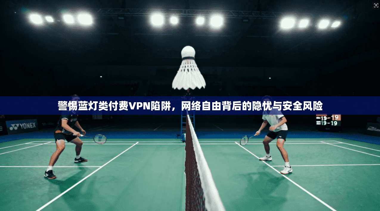 警惕蓝灯类付费VPN陷阱，网络自由背后的隐忧与安全风险