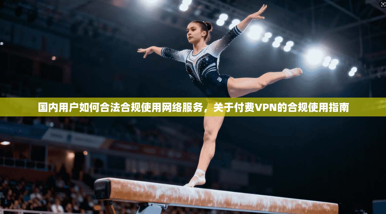 国内用户如何合法合规使用网络服务，关于付费VPN的合规使用指南