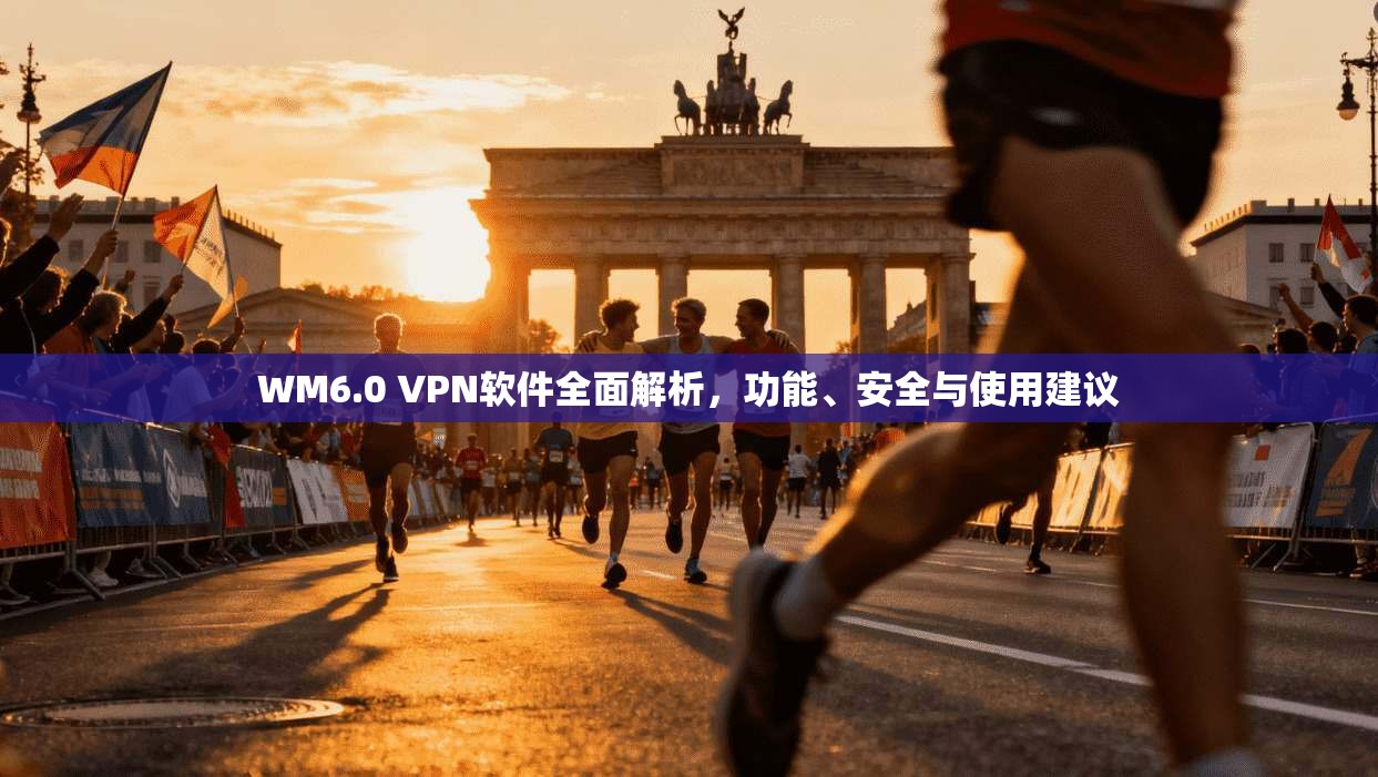 WM6.0 VPN软件全面解析，功能、安全与使用建议