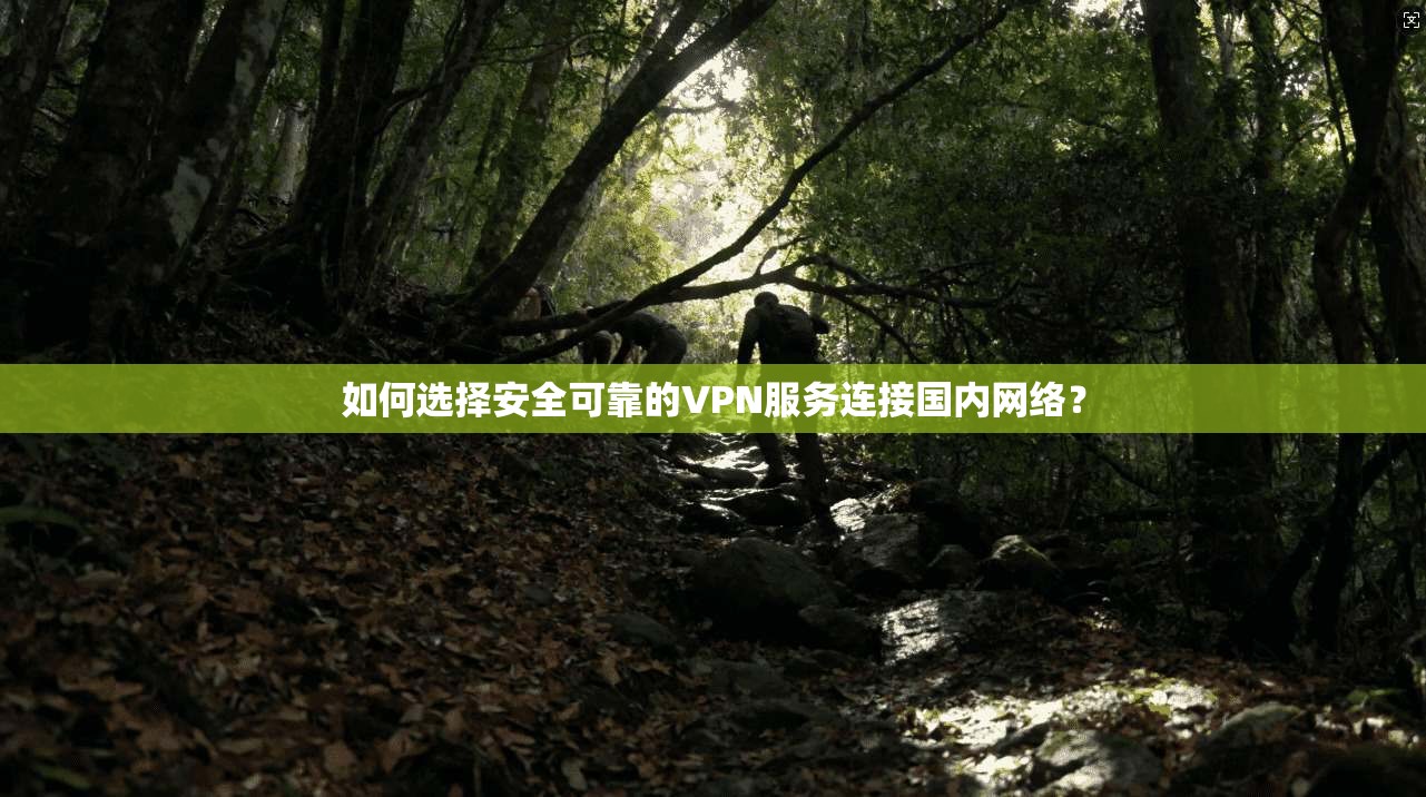 如何选择安全可靠的VPN服务连接国内网络？
