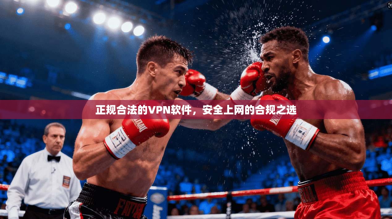 正规合法的VPN软件，安全上网的合规之选