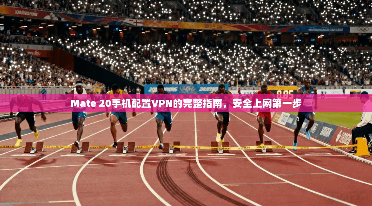 Mate 20手机配置VPN的完整指南，安全上网第一步