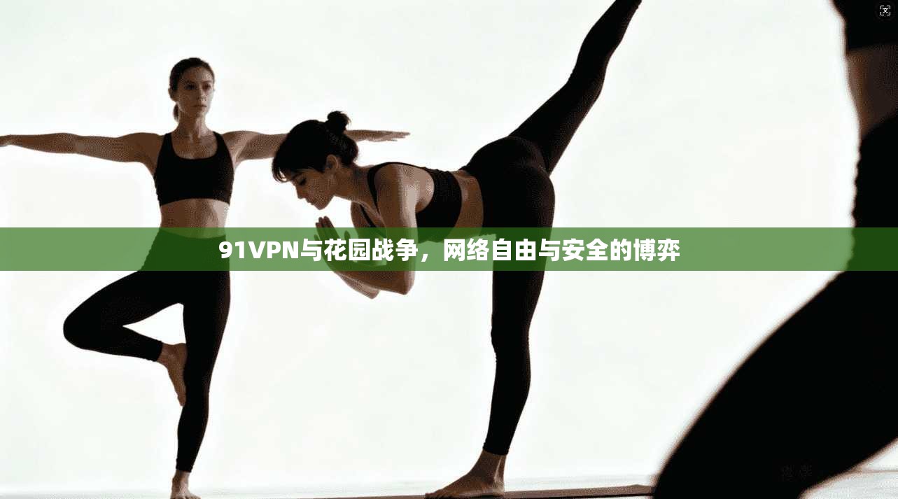 91VPN与花园战争,网络自由与安全的博弈