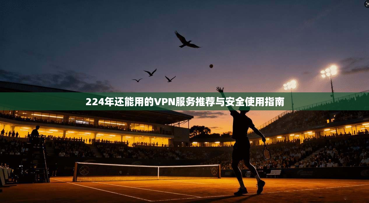 224年还能用的VPN服务推荐与安全使用指南 224年还能用的VPN服务推荐与安全使用指南