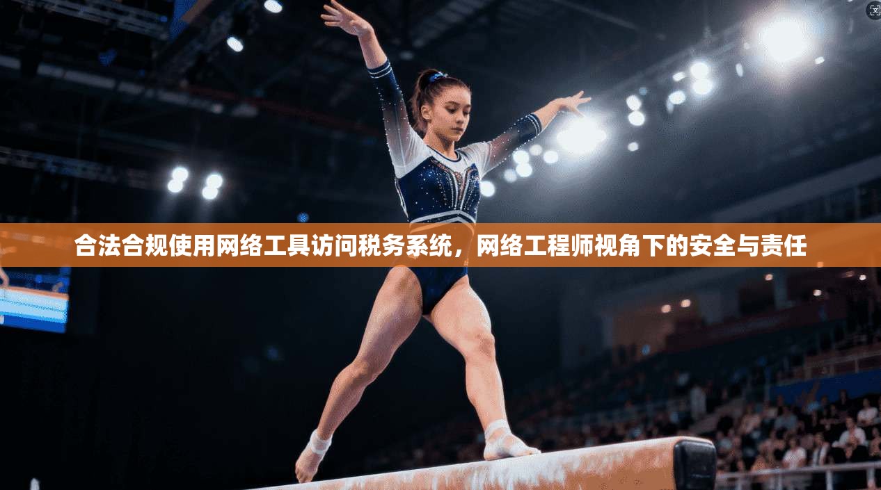 合法合规使用网络工具访问税务系统,网络工程师视角下的安全与责任 合法合规使用网络工具访问税务系统,网络工程师视角下的安全与责任