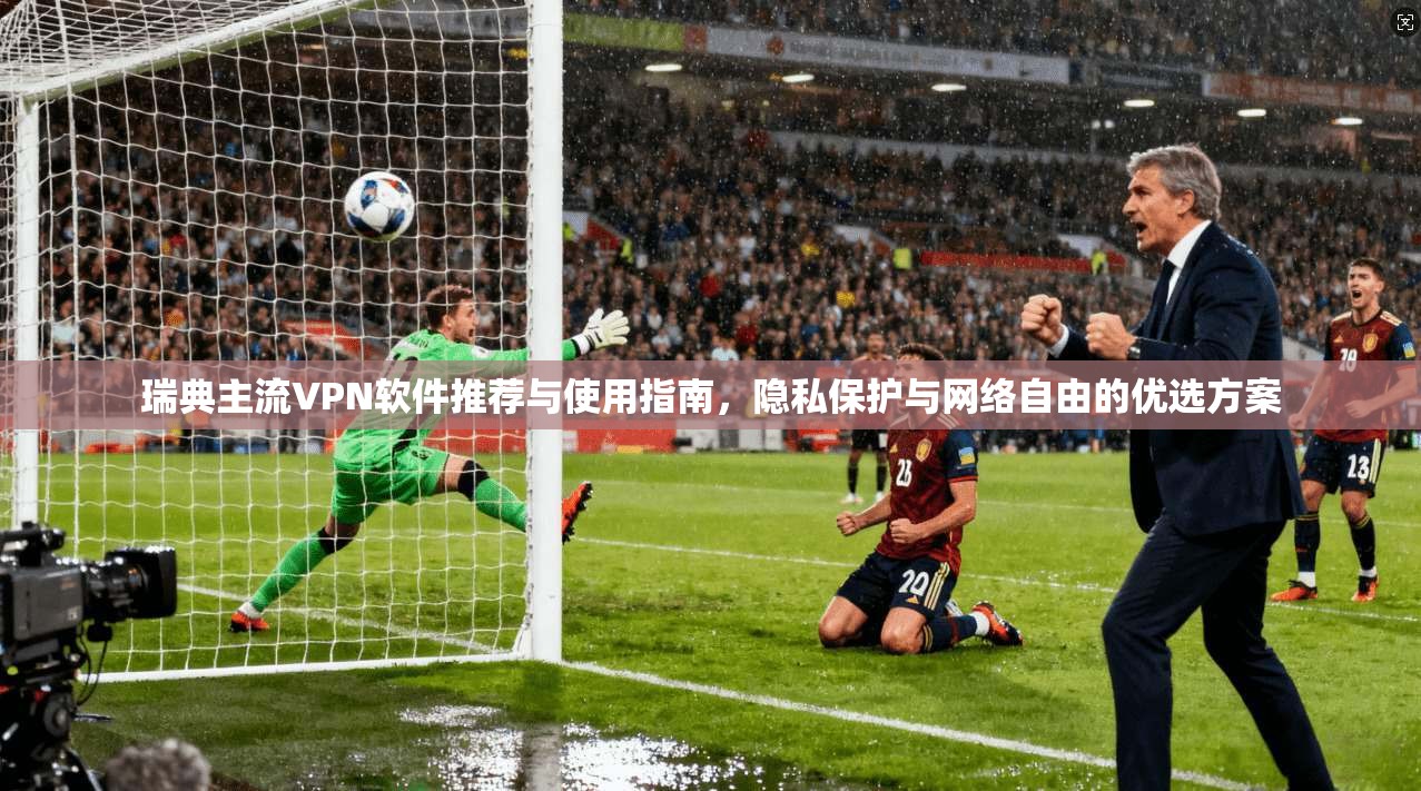 瑞典主流VPN软件推荐与使用指南，隐私保护与网络自由的优选方案