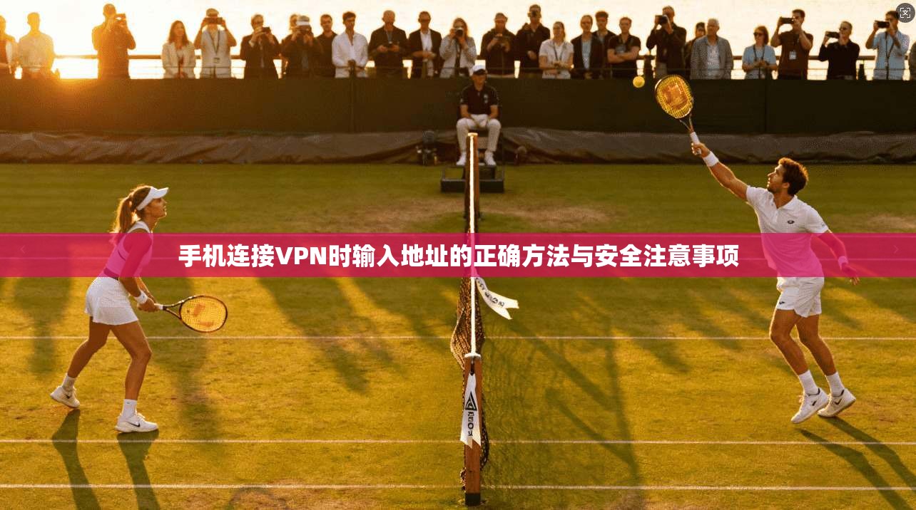 手机连接VPN时输入地址的正确方法与安全注意事项 手机连接VPN时输入地址的正确方法与安全注意事项