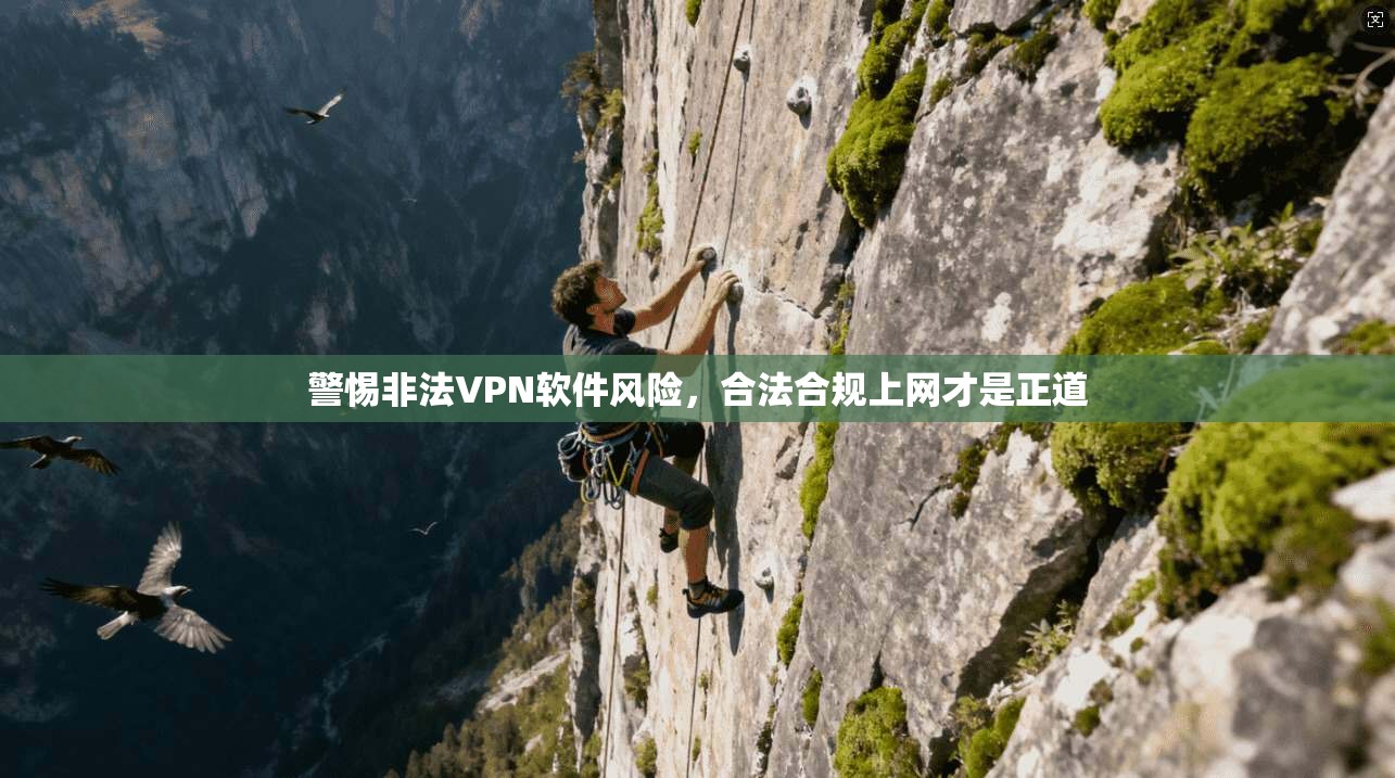 警惕非法VPN软件风险，合法合规上网才是正道