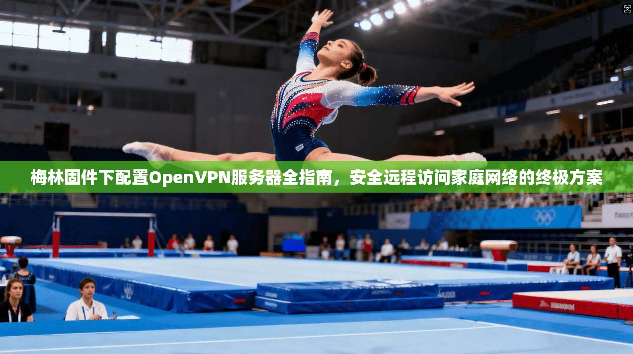 梅林固件下配置OpenVPN服务器全指南,安全远程访问家庭网络的终极方案 梅林固件下配置OpenVPN服务器全指南,安全远程访问家庭网络的终极方案