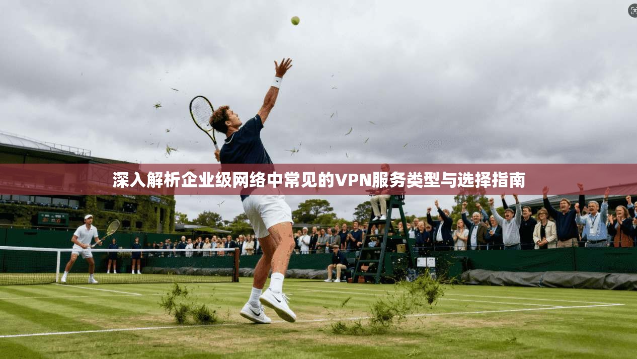 深入解析企业级网络中常见的VPN服务类型与选择指南
