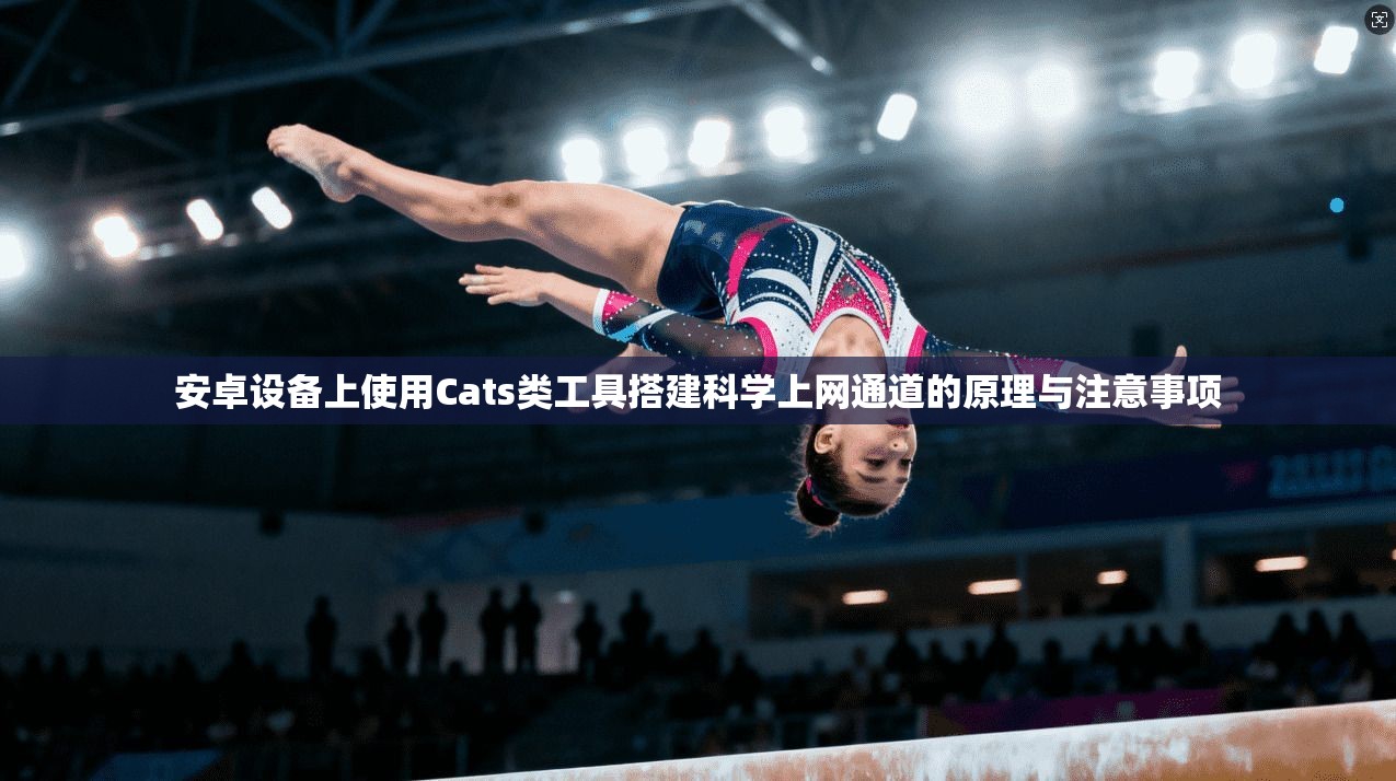 安卓设备上使用Cats类工具搭建科学上网通道的原理与注意事项