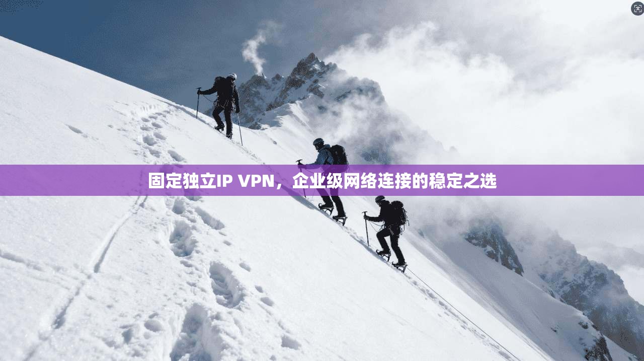固定独立IP VPN,企业级网络连接的稳定之选