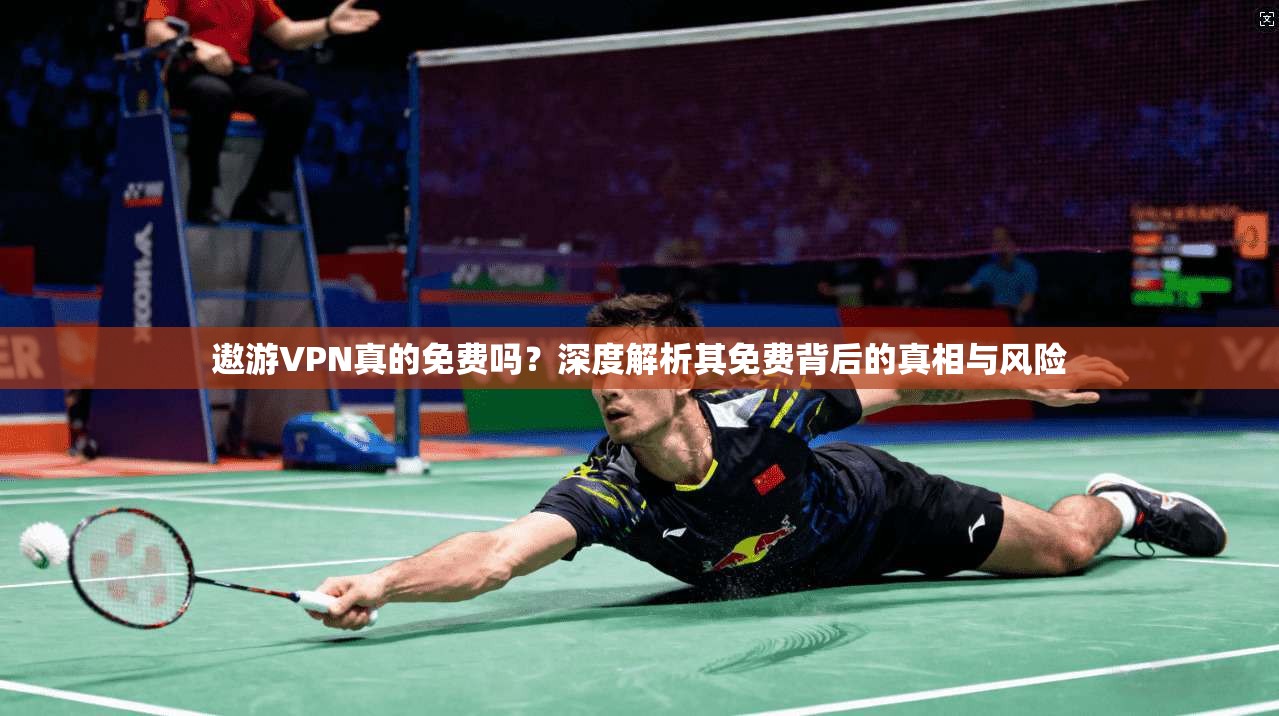 遨游VPN真的免费吗？深度解析其免费背后的真相与风险