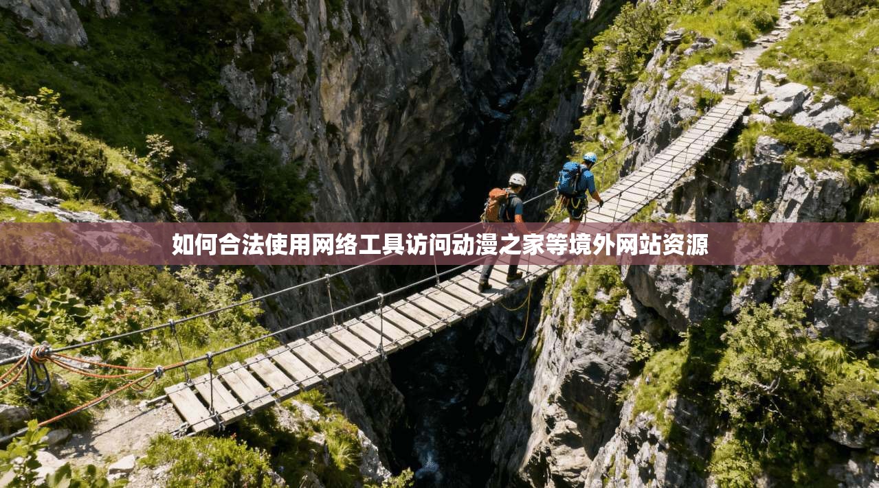 如何合法使用网络工具访问动漫之家等境外网站资源