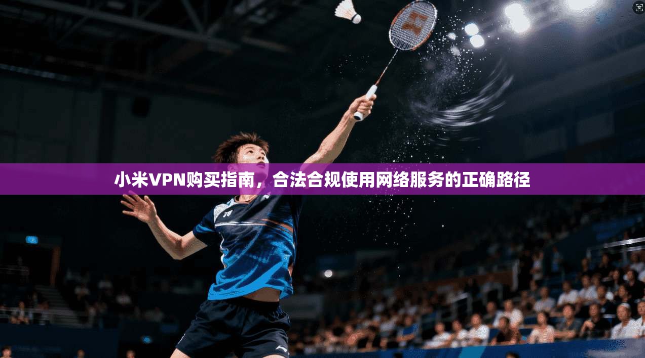 小米VPN购买指南,合法合规使用网络服务的正确路径