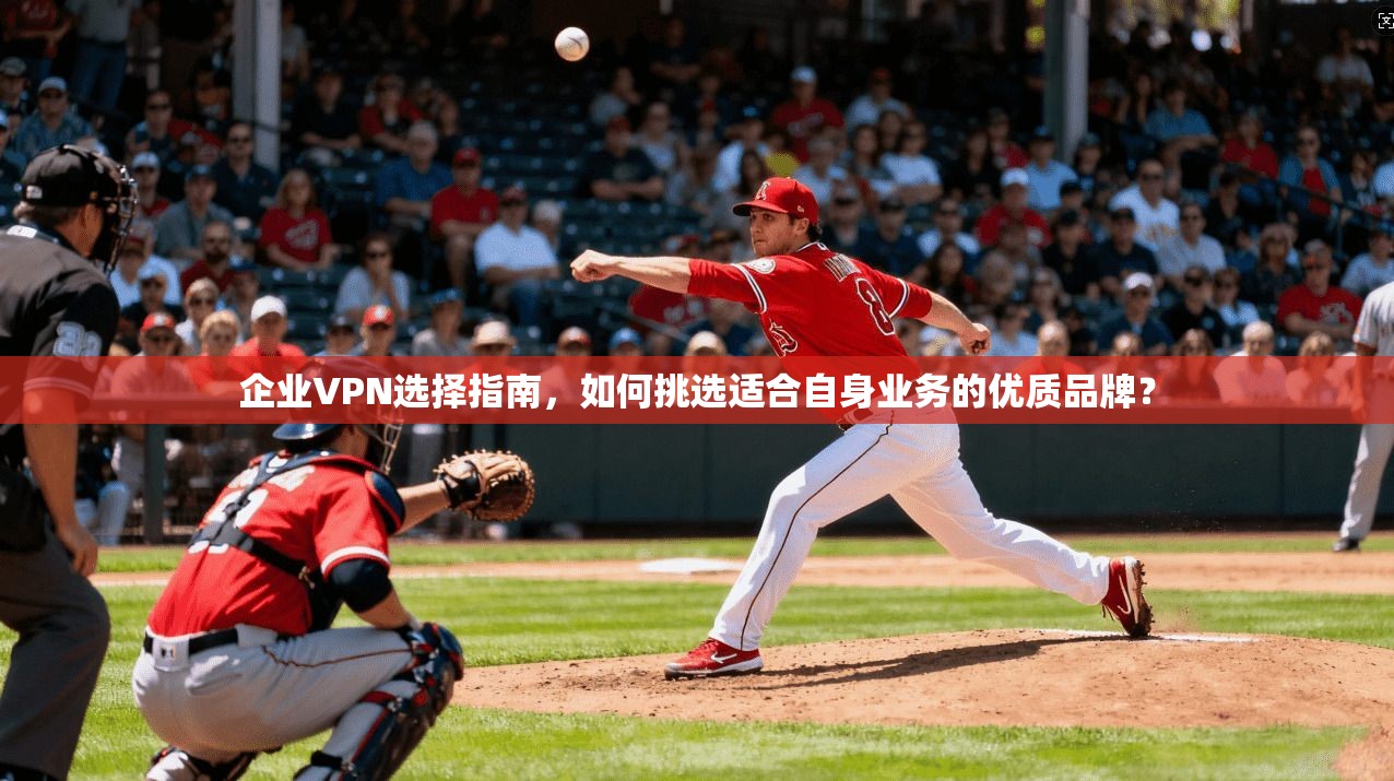 企业VPN选择指南，如何挑选适合自身业务的优质品牌？
