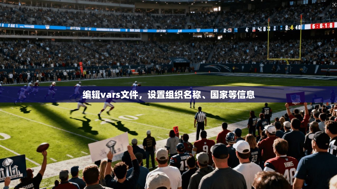 编辑vars文件，设置组织名称、国家等信息