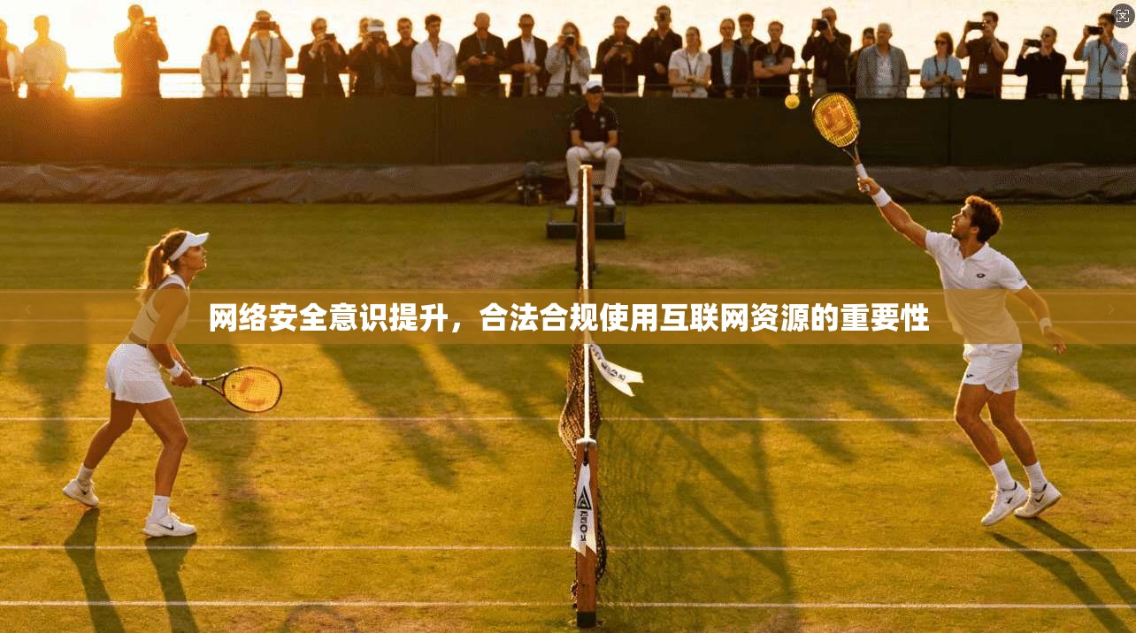 网络安全意识提升，合法合规使用互联网资源的重要性