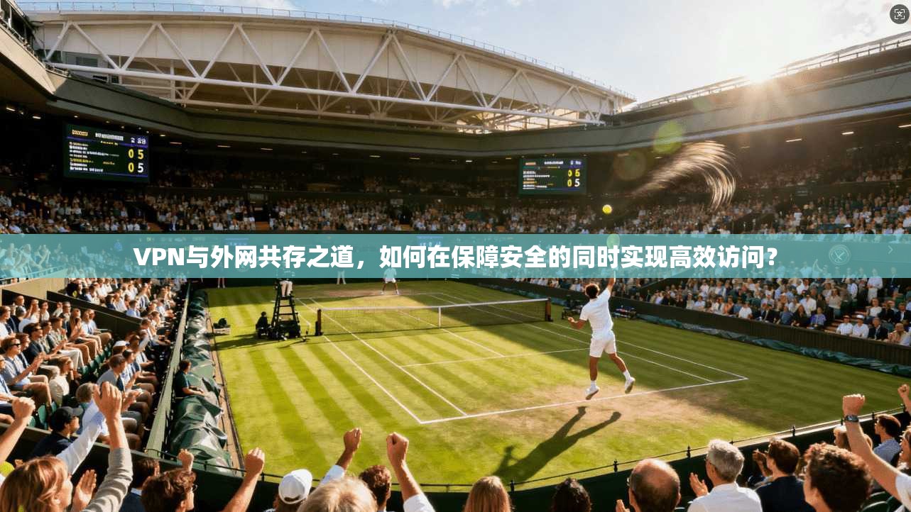 VPN与外网共存之道，如何在保障安全的同时实现高效访问？
