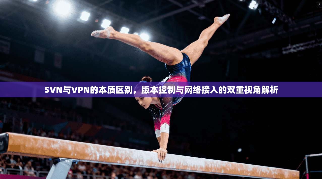 SVN与VPN的本质区别,版本控制与网络接入的双重视角解析