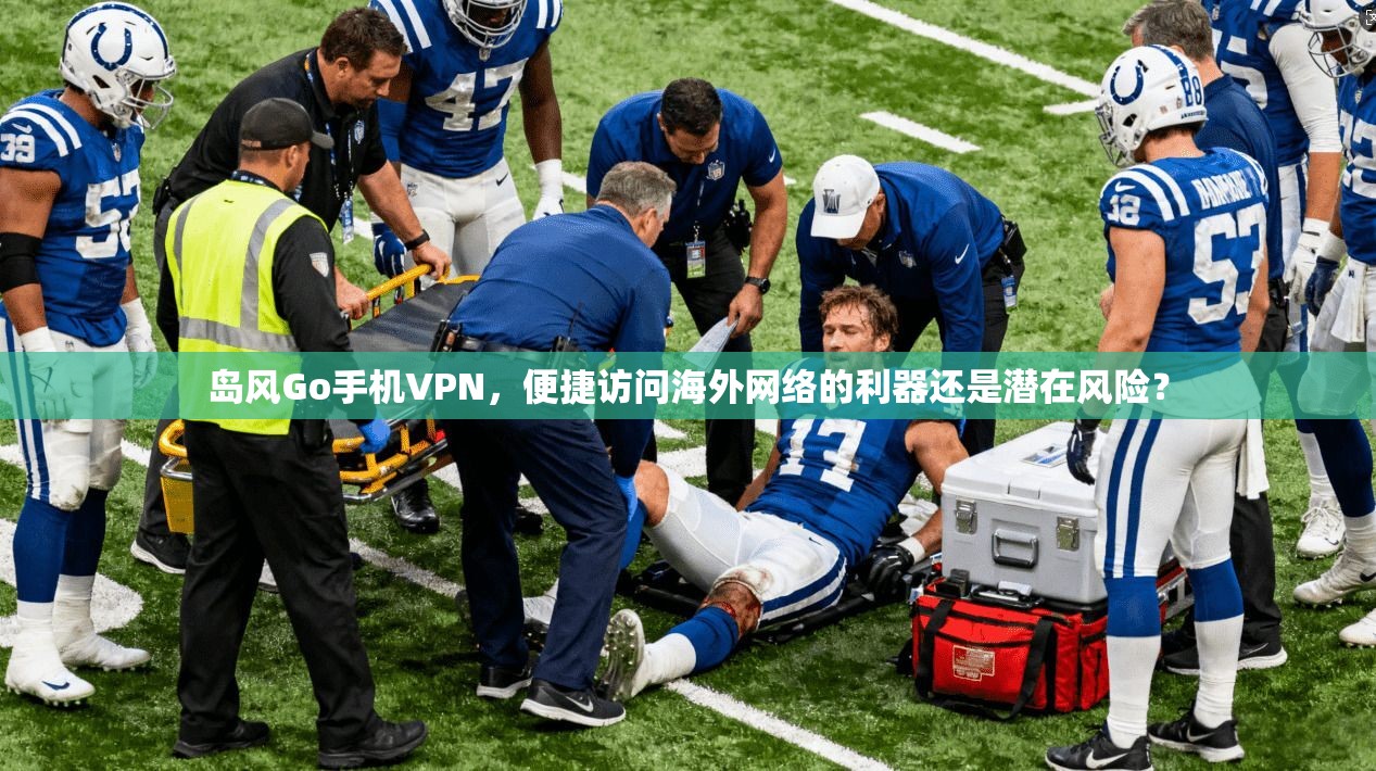 岛风Go手机VPN,便捷访问海外网络的利器还是潜在风险?