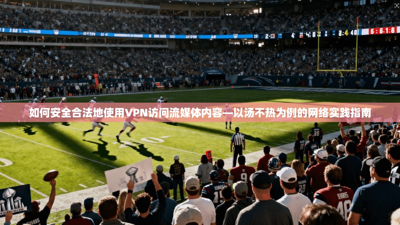 如何安全合法地使用VPN访问流媒体内容—以汤不热为例的网络实践指南