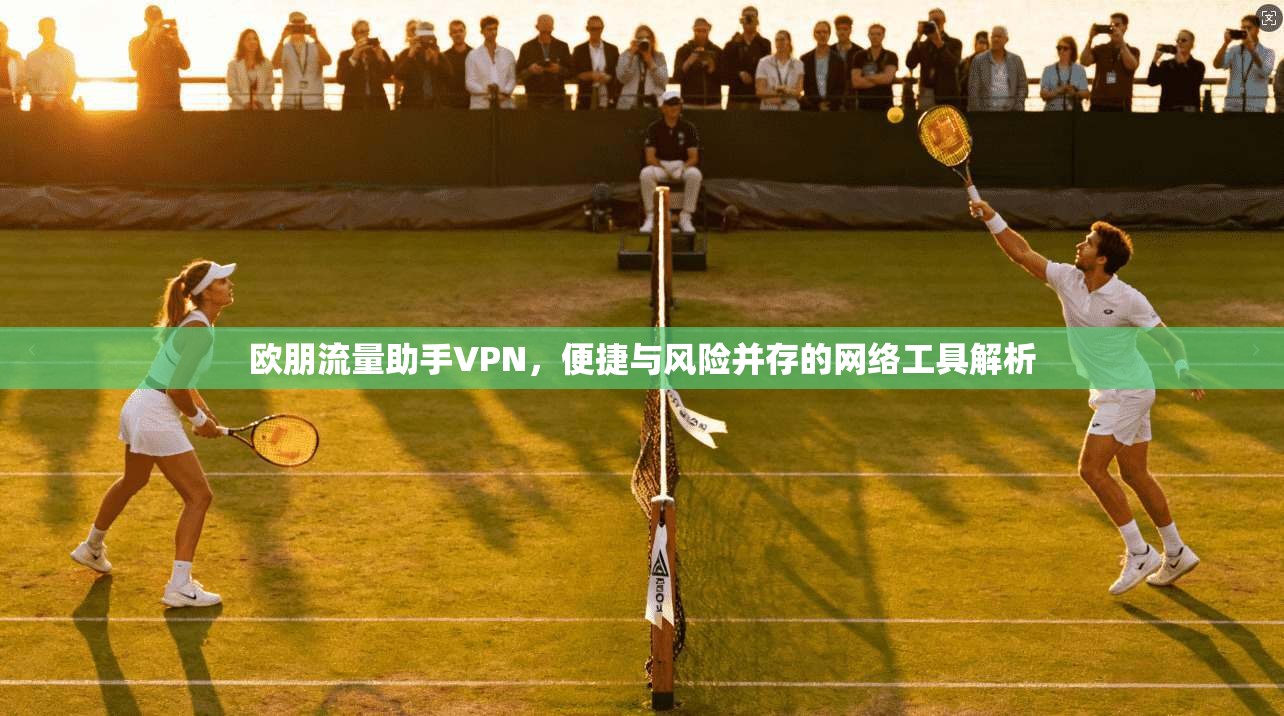 欧朋流量助手VPN,便捷与风险并存的网络工具解析