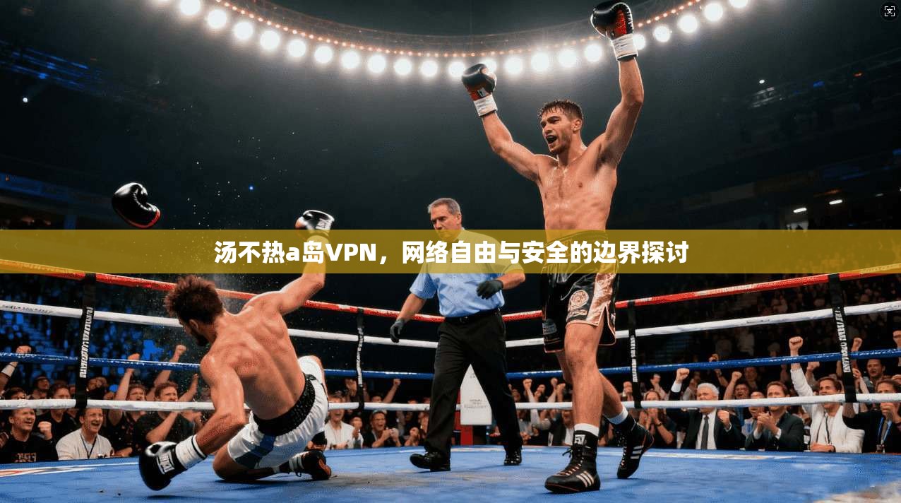 汤不热a岛VPN，网络自由与安全的边界探讨