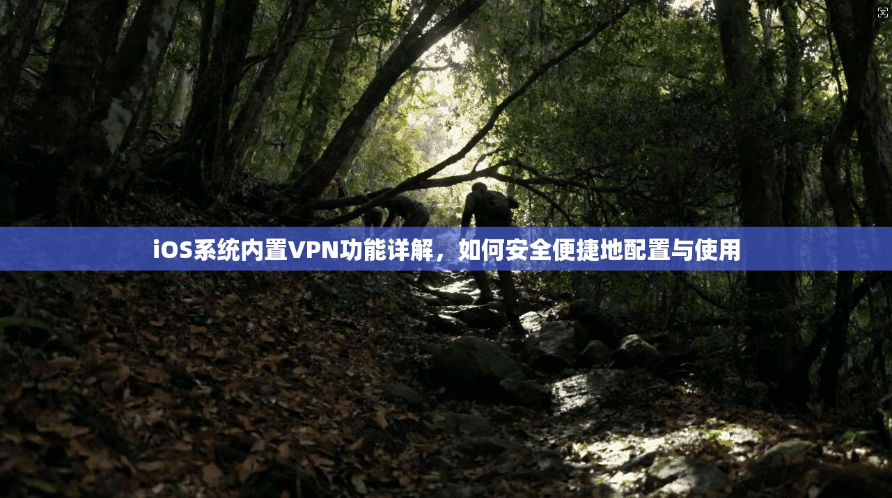 iOS系统内置VPN功能详解，如何安全便捷地配置与使用
