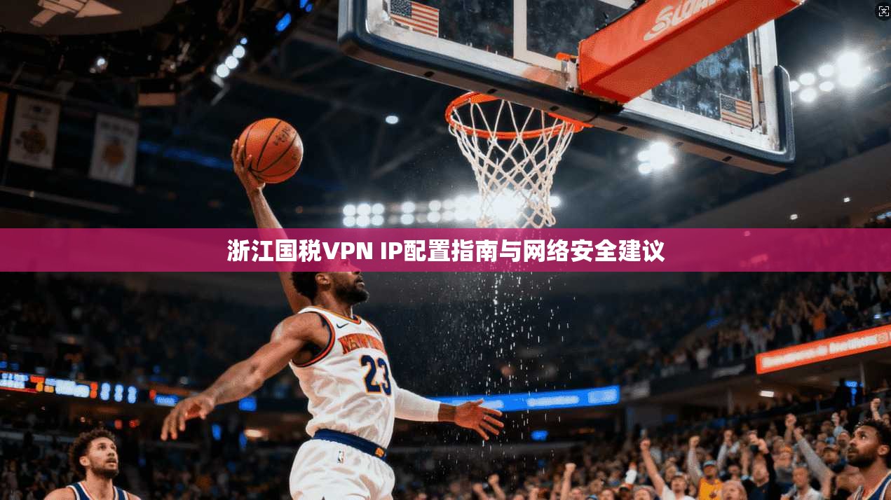 浙江国税VPN IP配置指南与网络安全建议