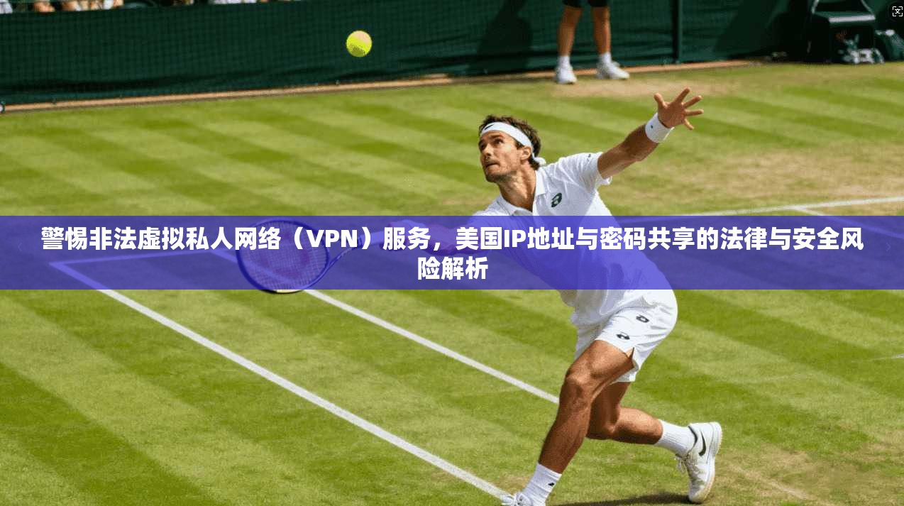 警惕非法虚拟私人网络（VPN）服务，美国IP地址与密码共享的法律与安全风险解析