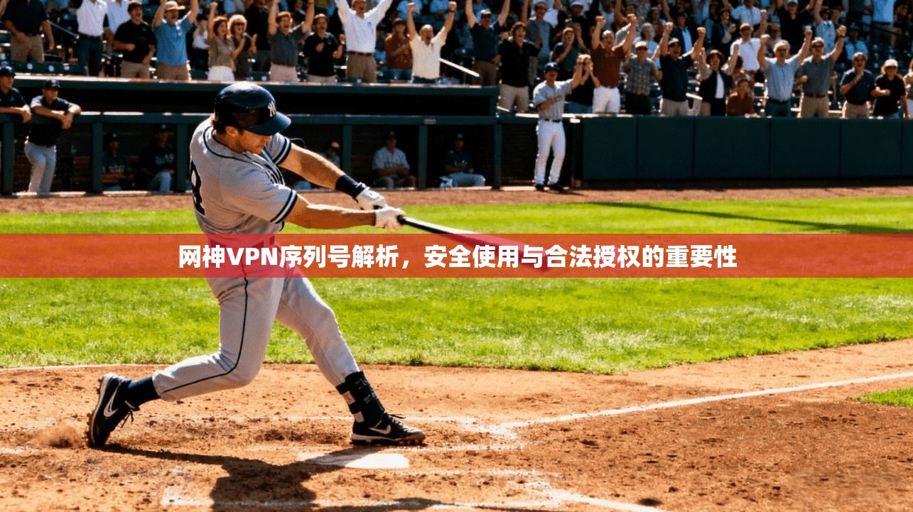 网神VPN序列号解析，安全使用与合法授权的重要性