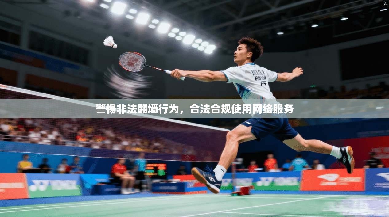 警惕非法翻墙行为，合法合规使用网络服务