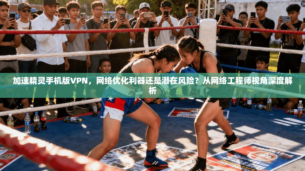 加速精灵手机版VPN，网络优化利器还是潜在风险？从网络工程师视角深度解析