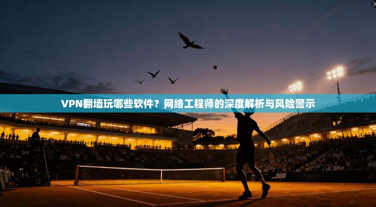 VPN翻墙玩哪些软件？网络工程师的深度解析与风险警示