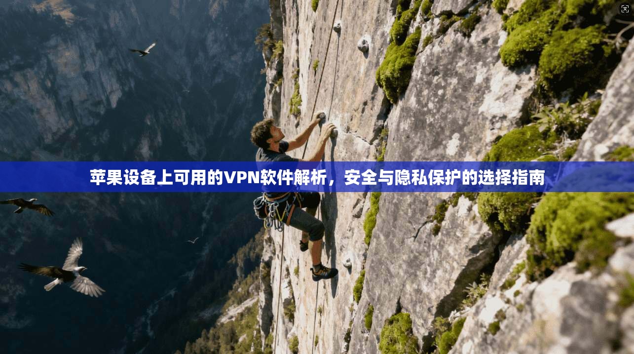 苹果设备上可用的VPN软件解析,安全与隐私保护的选择指南