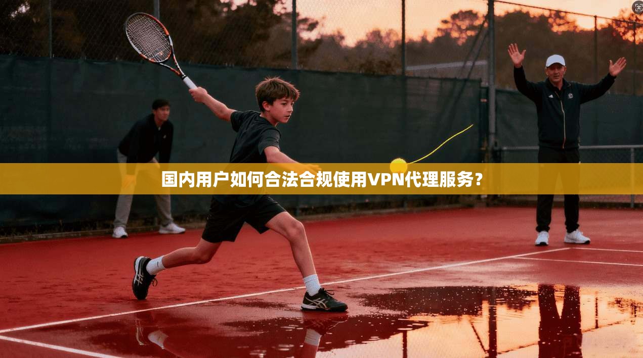 国内用户如何合法合规使用VPN代理服务?