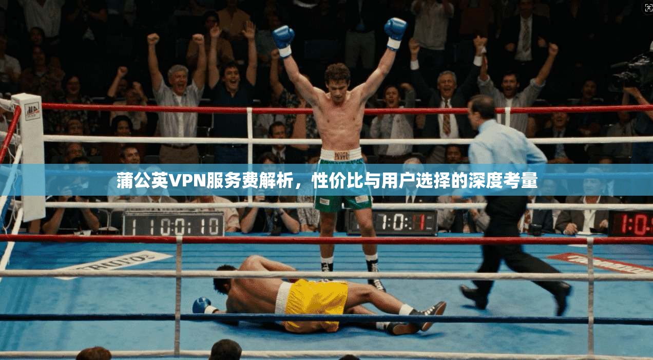 蒲公英VPN服务费解析,性价比与用户选择的深度考量