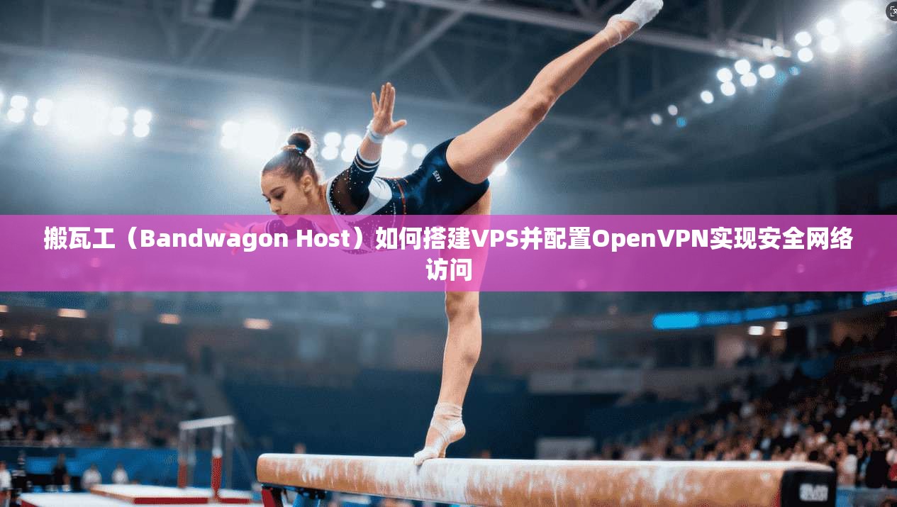 搬瓦工（Bandwagon Host）如何搭建VPS并配置OpenVPN实现安全网络访问