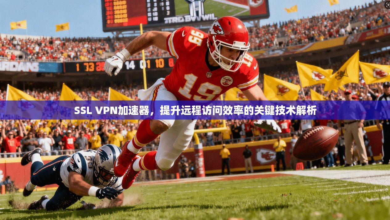 SSL VPN加速器,提升远程访问效率的关键技术解析