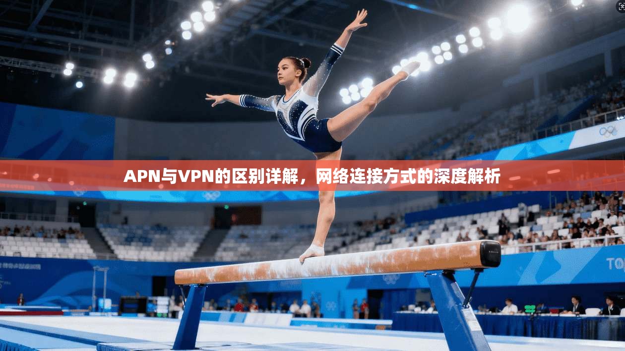 APN与VPN的区别详解,网络连接方式的深度解析