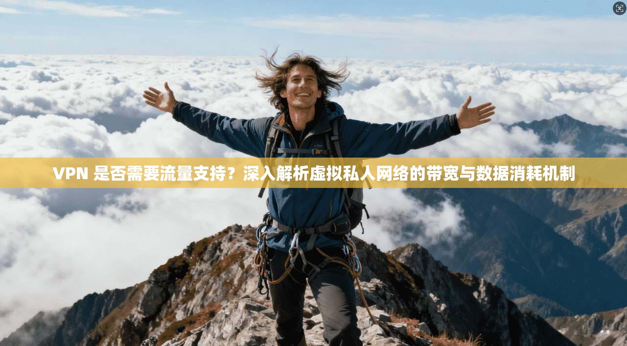 VPN 是否需要流量支持?深入解析虚拟私人网络的带宽与数据消耗机制