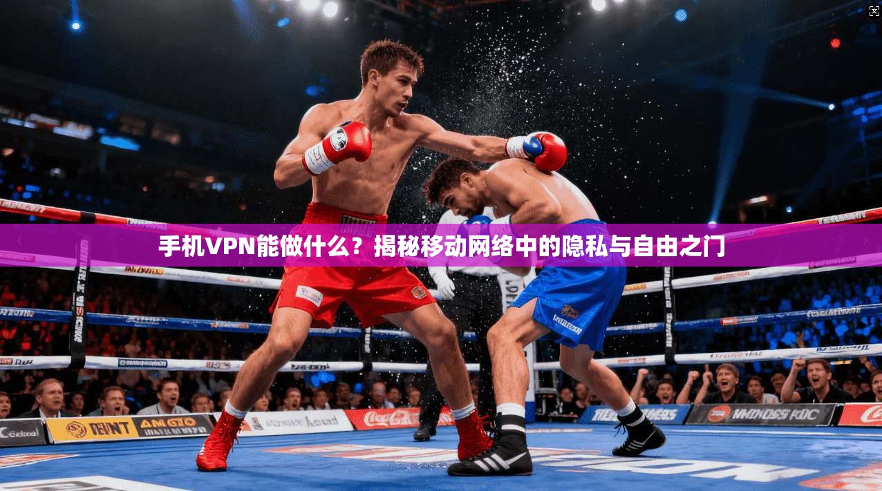 手机VPN能做什么?揭秘移动网络中的隐私与自由之门
