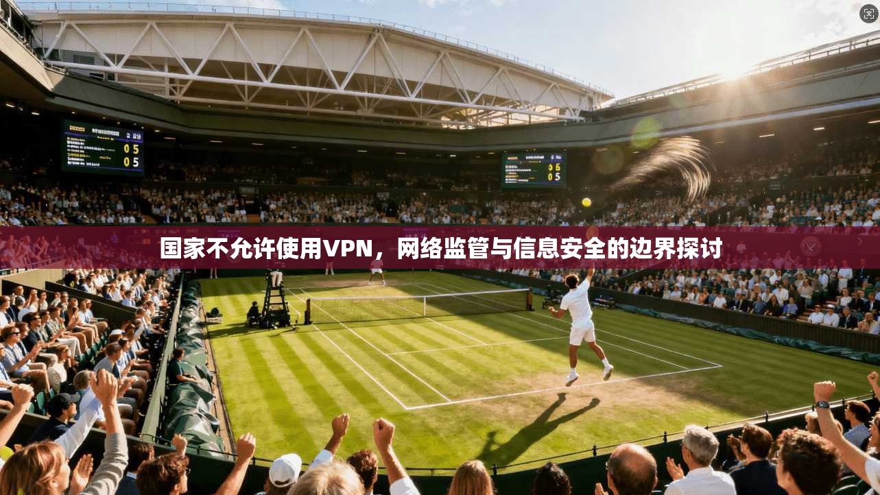 国家不允许使用VPN,网络监管与信息安全的边界探讨