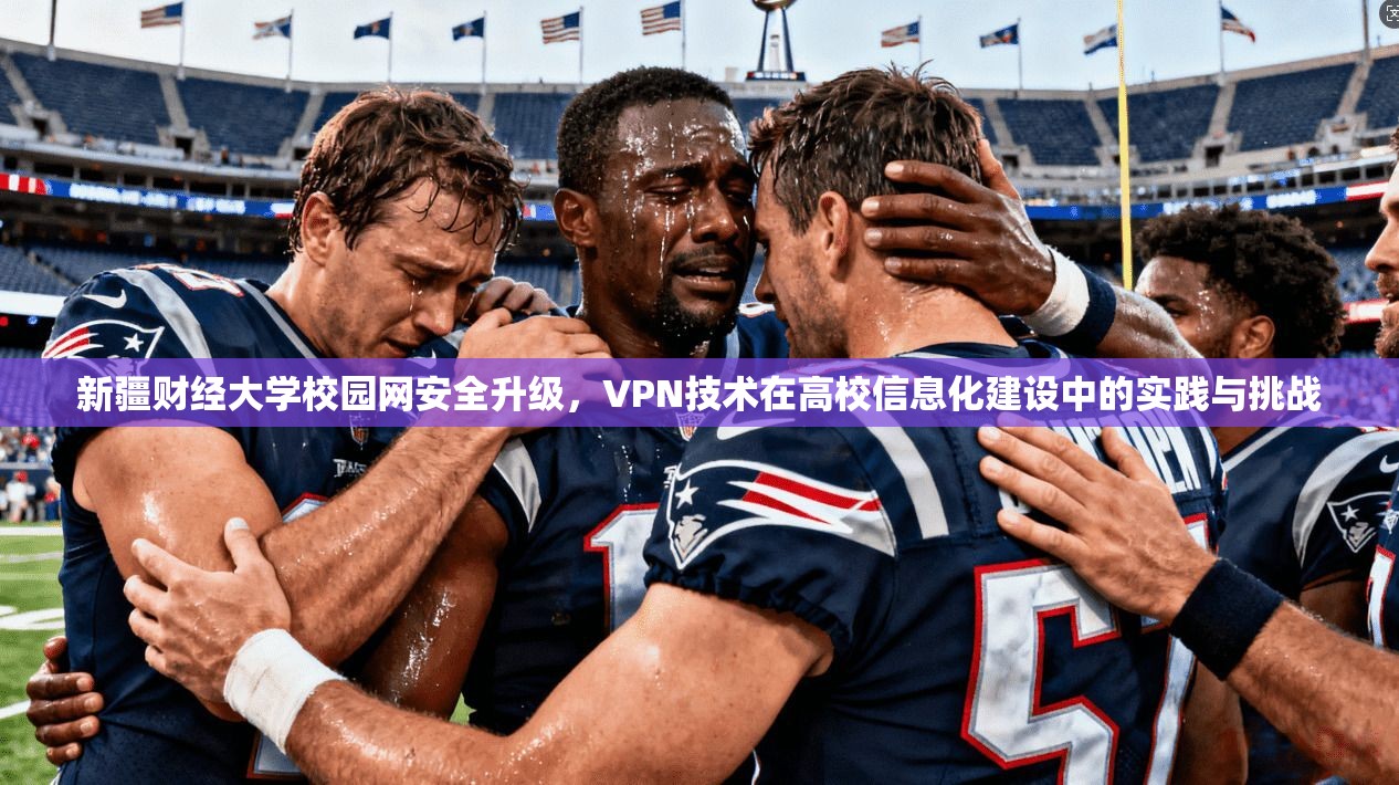 新疆财经大学校园网安全升级,VPN技术在高校信息化建设中的实践与挑战