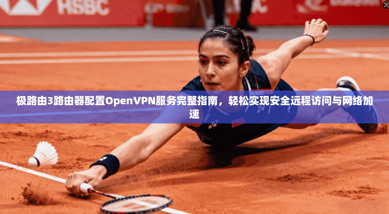 极路由3路由器配置OpenVPN服务完整指南,轻松实现安全远程访问与网络加速