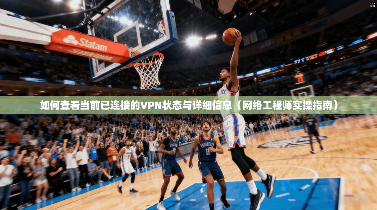 如何查看当前已连接的VPN状态与详细信息(网络工程师实操指南)